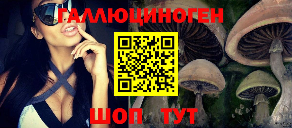 Псилоцибиновые грибы Psilocybe Донской